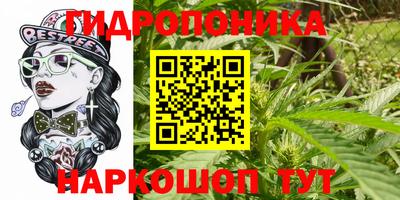 стафф Гагарин