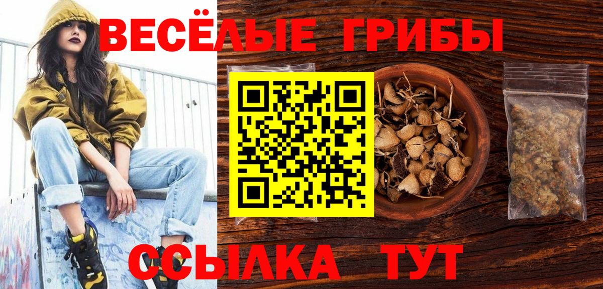 Псилоцибиновые грибы MAGIC MUSHROOMS Набережные Челны