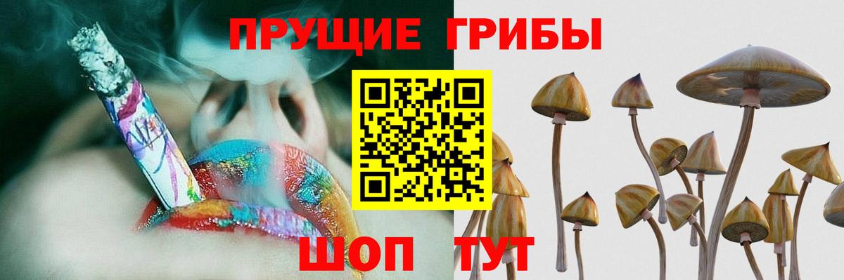 Псилоцибиновые грибы MAGIC MUSHROOMS  Вход с VPN  Набережные Челны 
